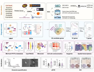 Developing an advanced diagnostic model for hepatocellular carcinoma through multi-omics integration leveraging diverse cell-death patterns